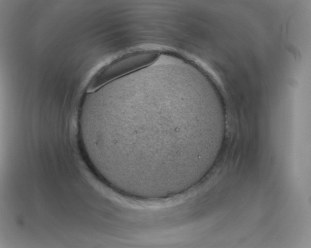 X0000115070015200911101312