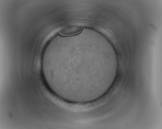 X0000115070016200911101312