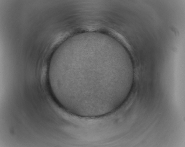 X0000115070018200911101312