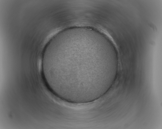 X0000115070019200911101312