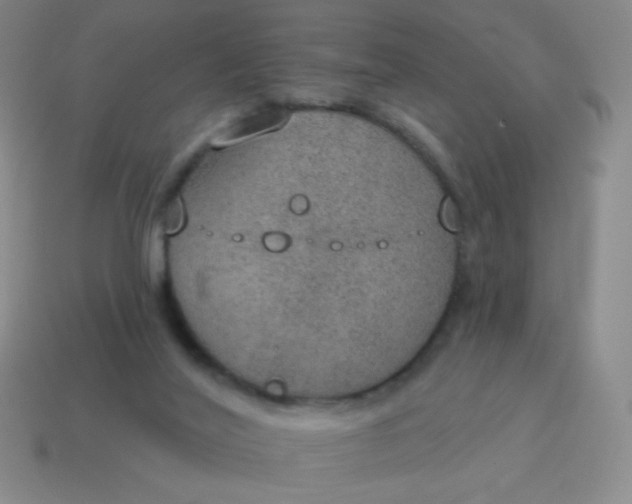 X0000115070020200911101312