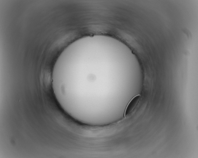 X0000115070021200911101312