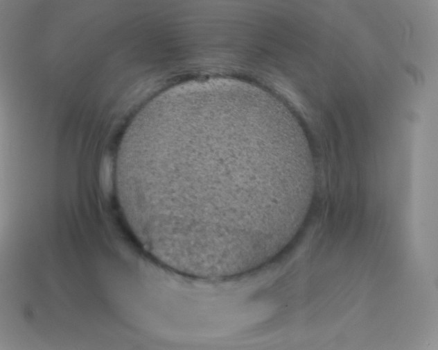 X0000115070022200911101312