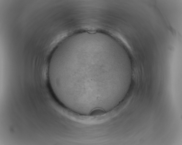 X0000115070023200911101312