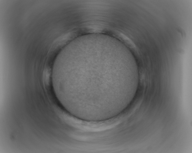 X0000115070026200911101312