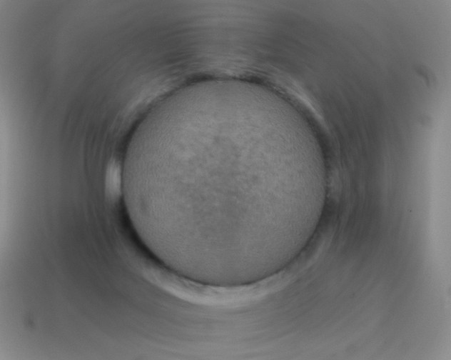 X0000115070027200911101312