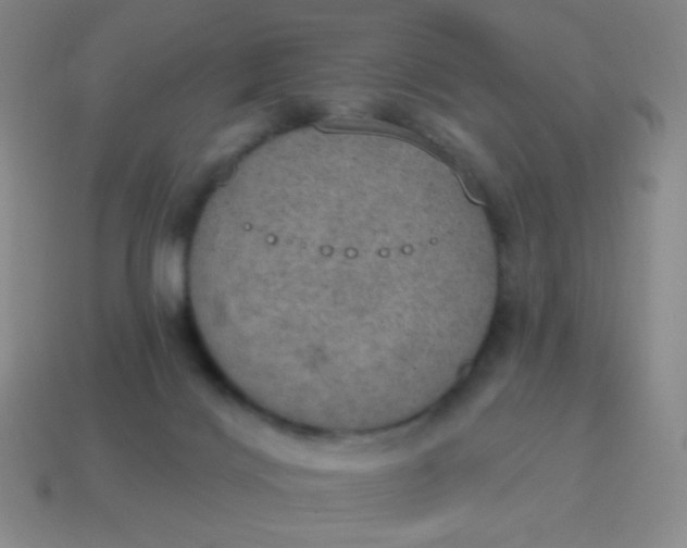 X0000115070028200911101312