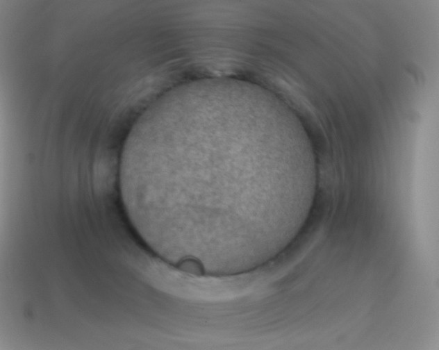 X0000115070030200911101312