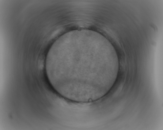 X0000115070032200911101312