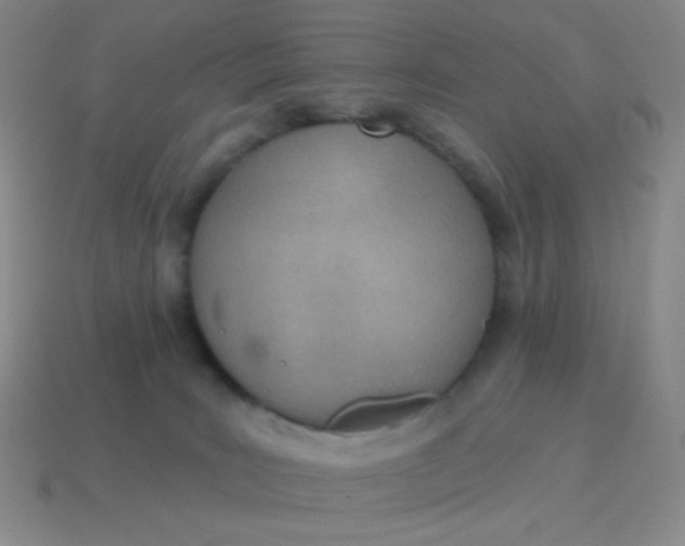 X0000115070035200911101312