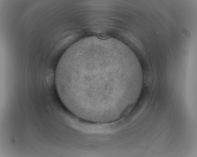 X0000115070036200911101312