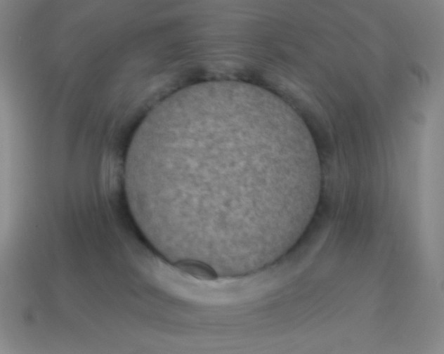X0000115070038200911101312