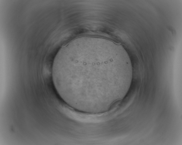X0000115070040200911101312