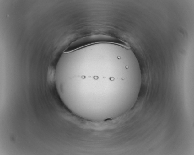 X0000115070041200911101312