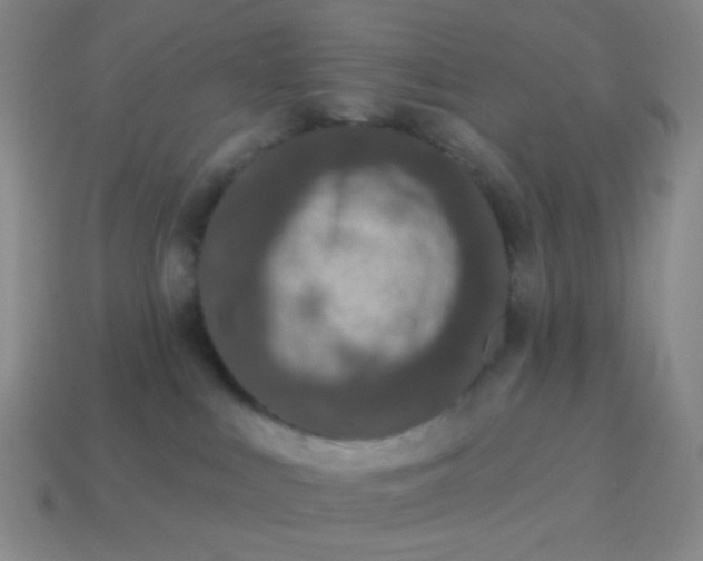 X0000115070043200911101312
