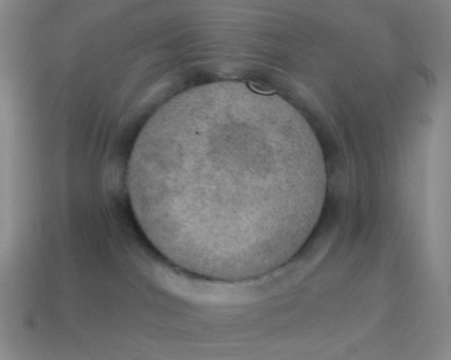 X0000115070044200911101312