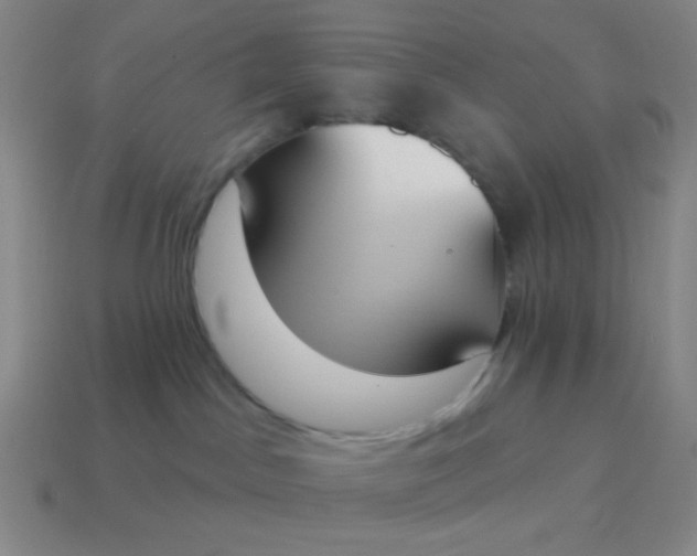X0000115070045200911101312