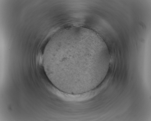 X0000115070046200911101312