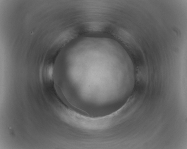 X0000115070047200911101312