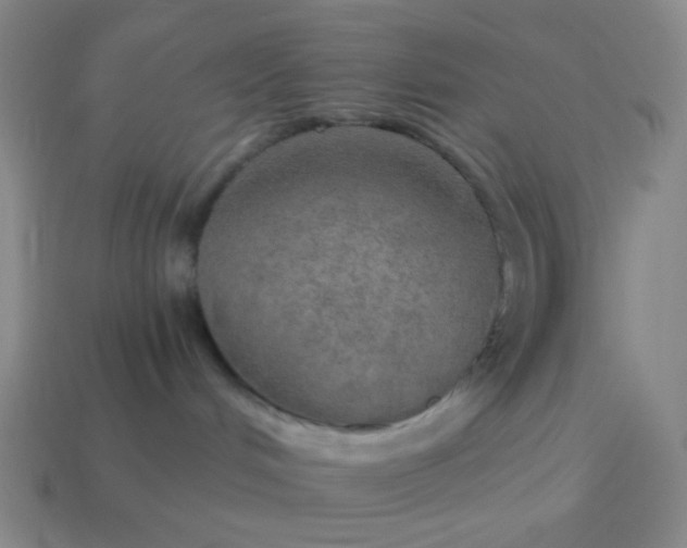 X0000115070048200911101312
