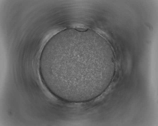 X0000115070049200911101311