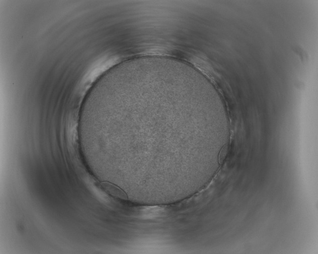 X0000115070050200911101311