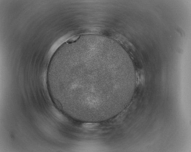 X0000115070051200911101311