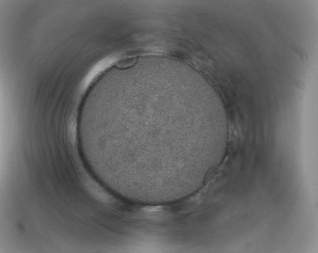X0000115070054200911101311