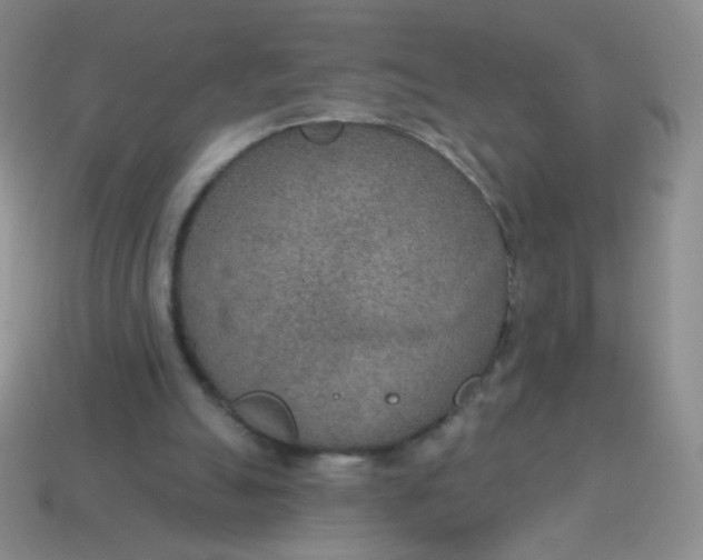 X0000115070055200911101311