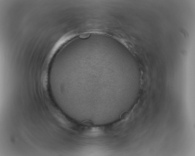X0000115070056200911101311