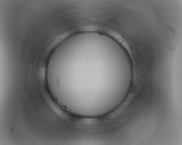 X0000115070057200911101311