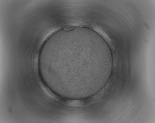 X0000115070058200911101311