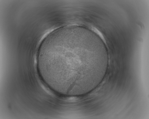 X0000115070059200911101311