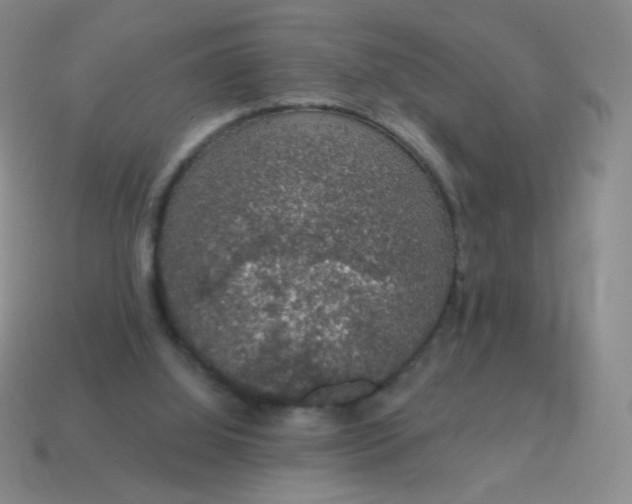 X0000115070060200911101311