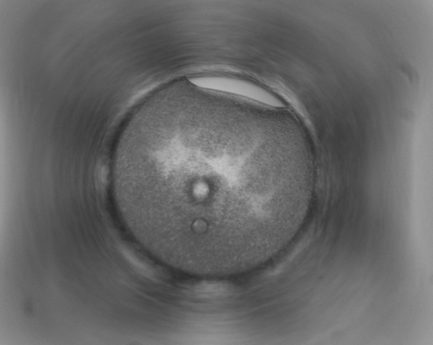 X0000115070063200911101311