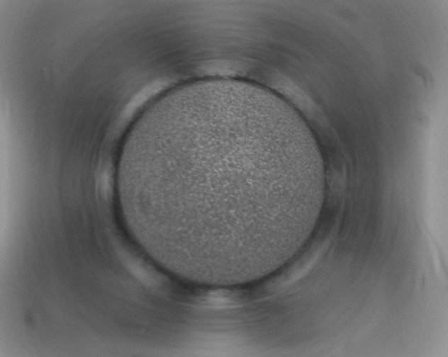 X0000115070064200911101311