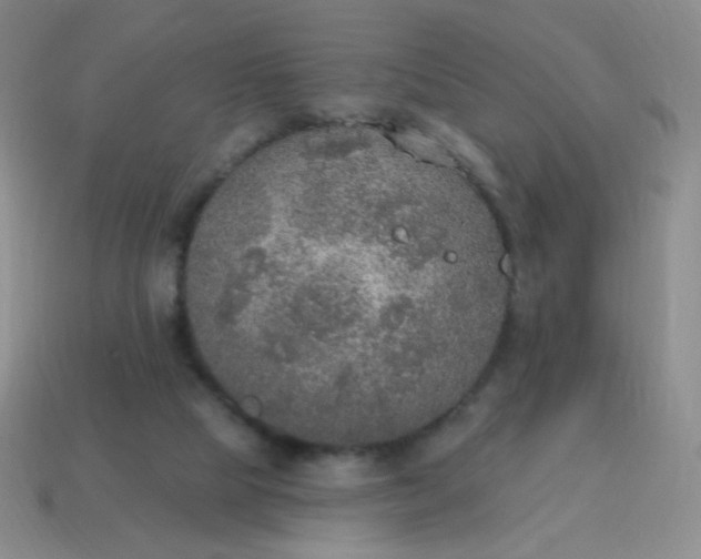 X0000115070065200911101311