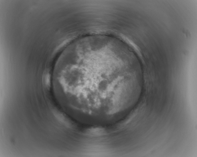 X0000115070067200911101311