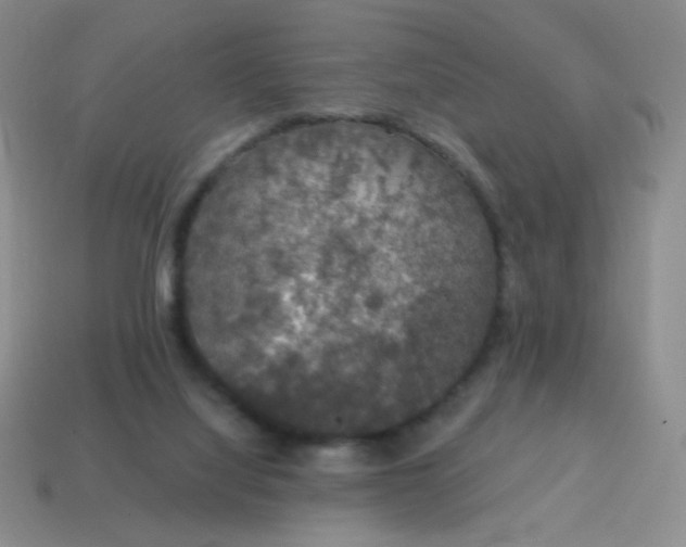X0000115070068200911101311