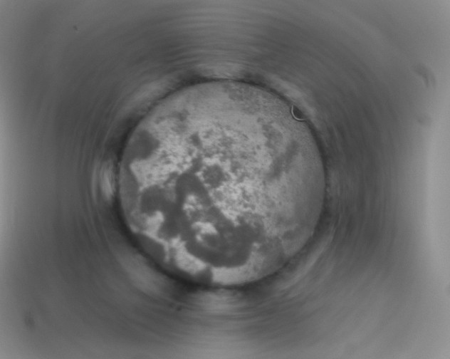 X0000115070069200911101311