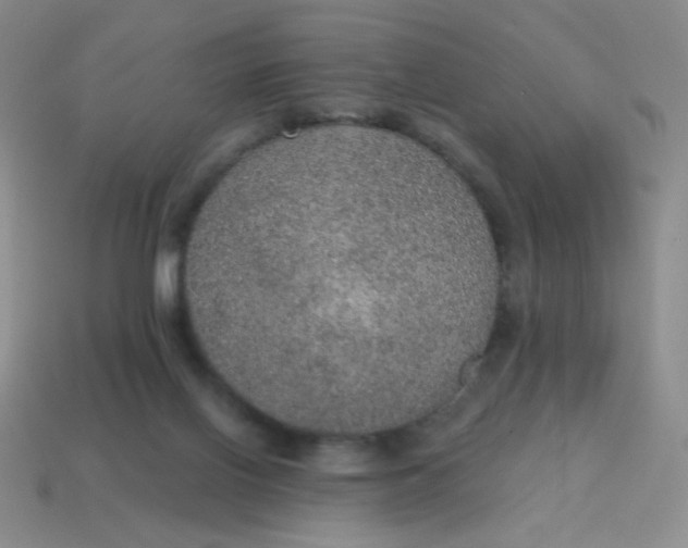 X0000115070070200911101311