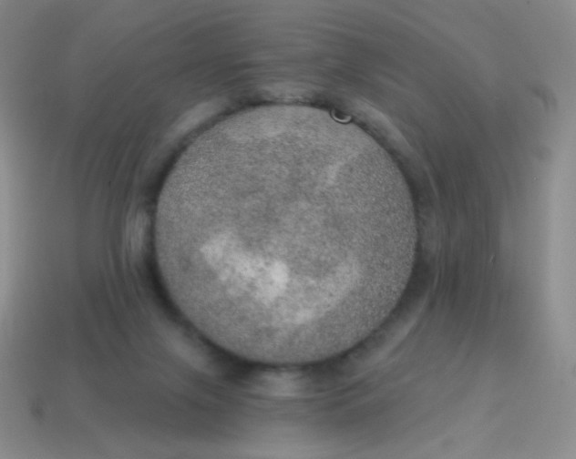X0000115070071200911101311