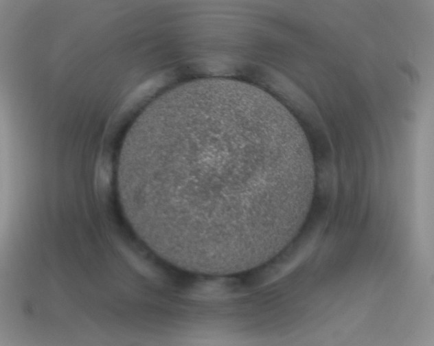 X0000115070072200911101311
