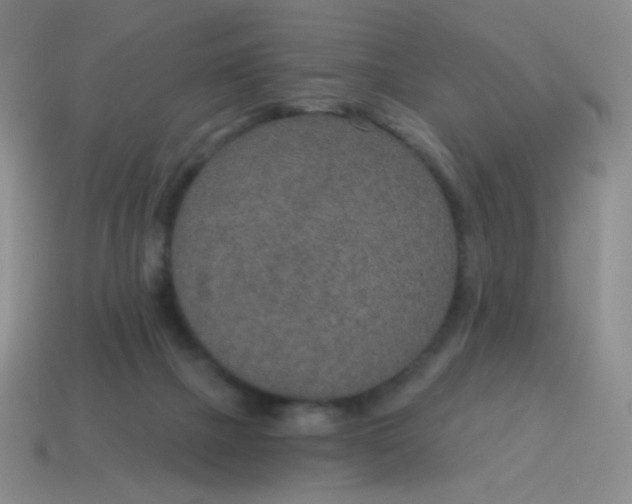X0000115070073200911101311