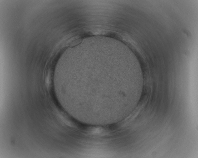 X0000115070074200911101311