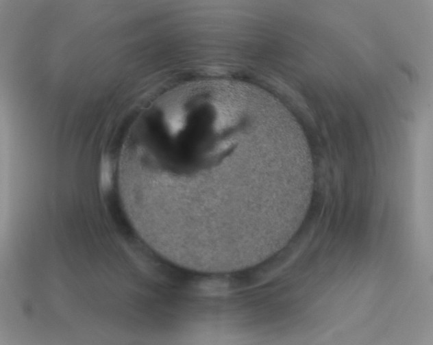 X0000115070075200911101311
