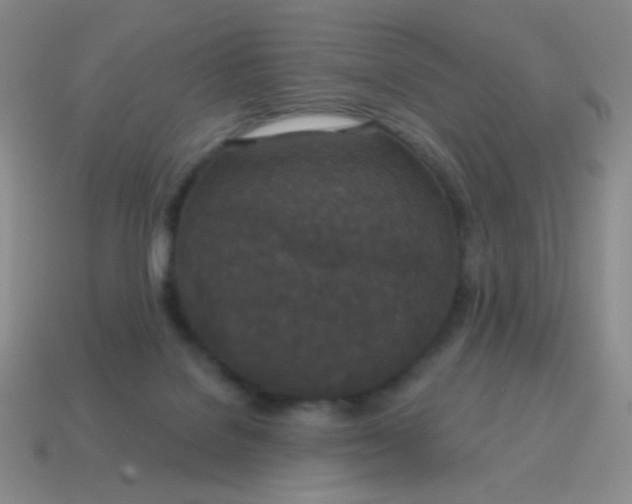 X0000115070076200911101311