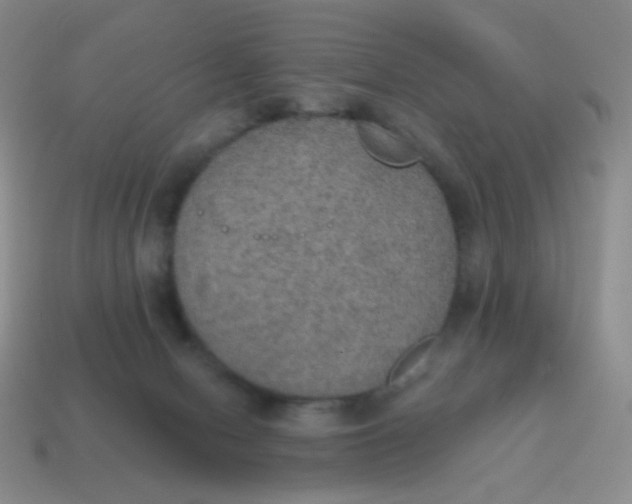 X0000115070078200911101312