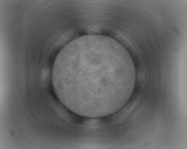 X0000115070079200911101312