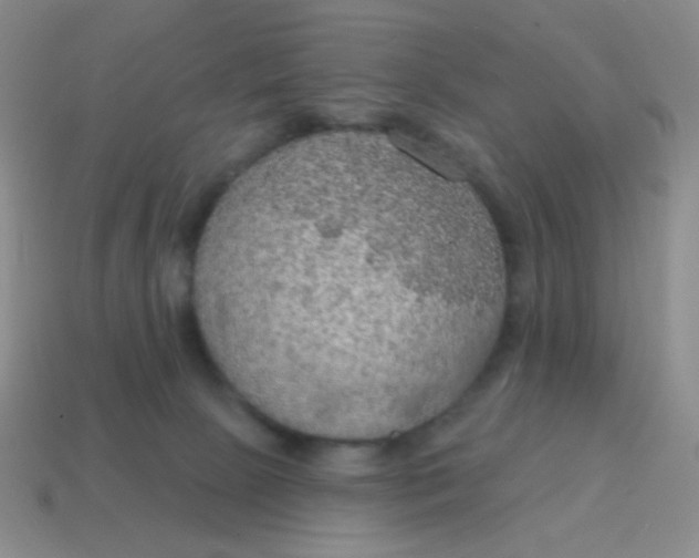 X0000115070081200911101312